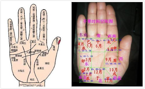 手掌纹怎么看手相图解人的双手粗细和手掌纹路