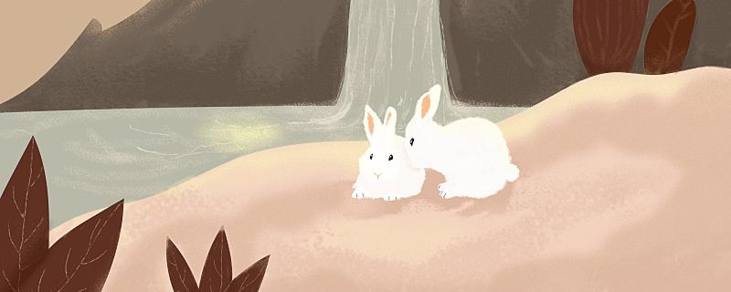 属兔的最旺的颜色是什么么？