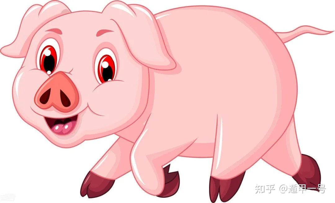 十二生肖属猪人2023年运势运程每月运程及预测